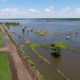 Por las inundaciones en el norte se perdieron más de 7 mil hectáreas de algodón