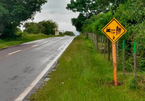 Lee más sobre el artículo Conciencia, seguridad y respeto al ciclista y caminantes
