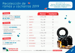 Lee más sobre el artículo Recolección de ramas: los vecinos del Sector 2 B pueden sacarlas mañana martes 29