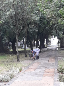 Lee más sobre el artículo Se intensifican los trabajos de limpieza después de la tormenta