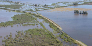 Lee más sobre el artículo Emergencia agropecuaria para 9 de Julio y Vera