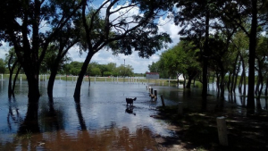 Lee más sobre el artículo Permanece cerrado el Camping Municipal Los Tatané