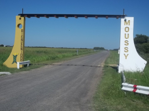 Lee más sobre el artículo Anunciaron el llamado a licitación para la pavimentación del acceso a Moussy