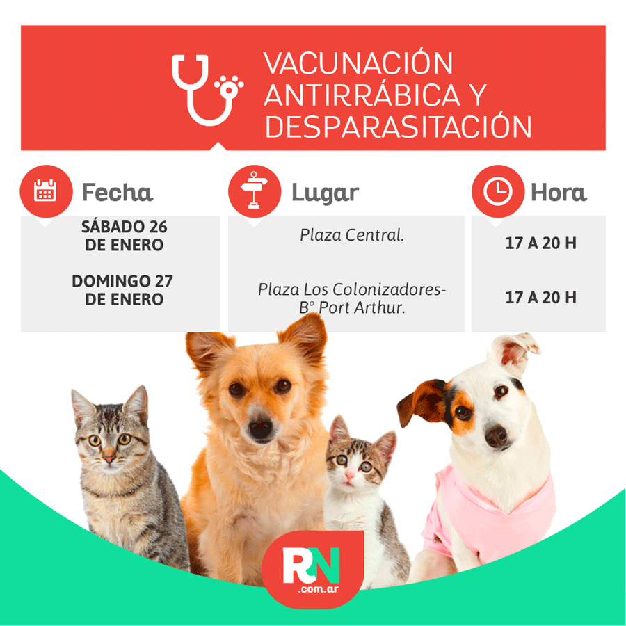 Lee más sobre el artículo Vacuná a tu mascota en el Quirófano móvil este fin de semana