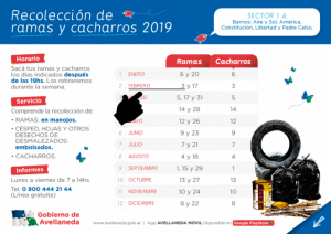 Lee más sobre el artículo Los vecinos del Sector 1 A podrán sacar sus ramas y cacharros este domingo