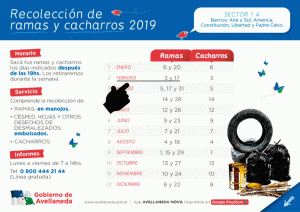 Lee más sobre el artículo Recolección de ramas este fin de semana