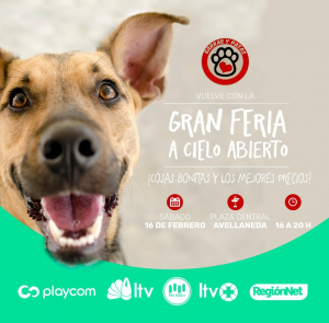Lee más sobre el artículo Sábado16, Gran Feria a Cielo Abierto
