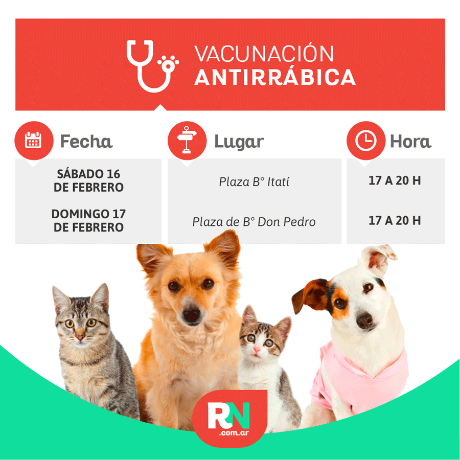 Lee más sobre el artículo Vacunación de mascotas en el Quirófano Móvil