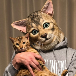 Lee más sobre el artículo Convertite en el doble de tu gato con estas increíbles máscaras realistas