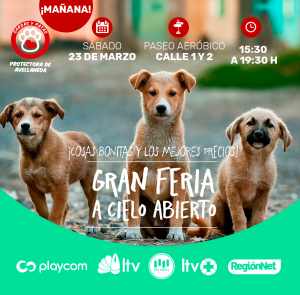 Lee más sobre el artículo Sábado 23, vuelve la Gran Feria a Cielo Abierto
