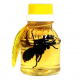 Miel con avispas, el nuevo hit gastronómico en Japón