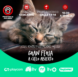 Lee más sobre el artículo Sábado 13, Gran Feria a Cielo Abierto