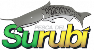 Lee más sobre el artículo 4° sorteo No Paga Más y Conferencia de Prensa de COMUPE