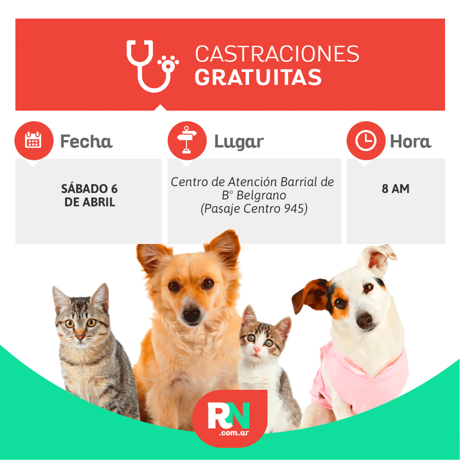 Lee más sobre el artículo Castración de mascotas: el quirófano móvil llega a B° Belgrano