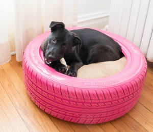 Lee más sobre el artículo Jóvenes reciclan cubiertas de caucho y producen cuchas para perros y gatos