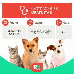 Lee más sobre el artículo Castración de mascotas: el Quirófano Móvil llega a B° Port Arthur