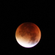 Eclipse lunar del 16 de julio: otro fenómeno astronómico