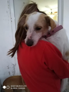 Lee más sobre el artículo Perrita