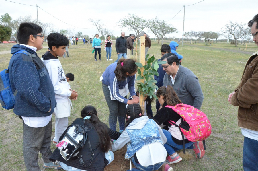 Lee más sobre el artículo Jornada de concientización y reforestación juntos alumnos del Puerto