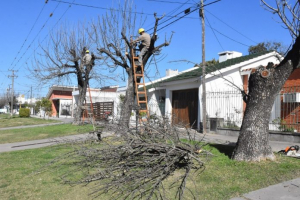 Lee más sobre el artículo Avellaneda realiza trabajos integrales de mantenimiento en la vía pública