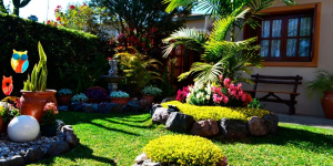 Lee más sobre el artículo Concurso al Mejor Jardín de Malabrigo