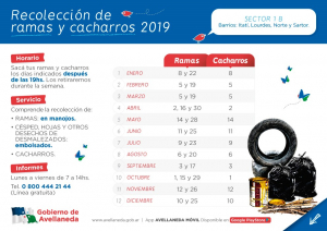 Lee más sobre el artículo Recolección de ramas: se realizará en el casco céntrico