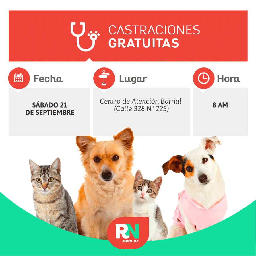 Lee más sobre el artículo Castraciones de mascotas en Avellaneda