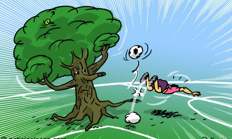 Lee más sobre el artículo Esta cancha de fútbol tiene dos árboles vivos como arqueros