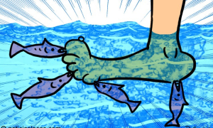 Lee más sobre el artículo Restaurante ofrece pedicura con pescados mientras almuerzas