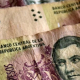 El Banco Central postergó hasta el 28 de febrero el retiro de los billetes de $5