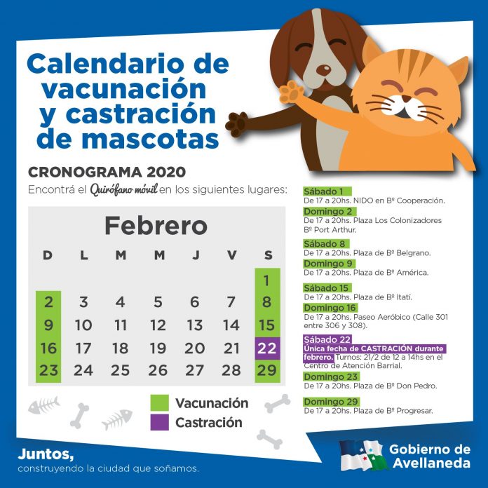 Lee más sobre el artículo Vacunación y castración de mascotas: calendario febrero