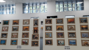 Lee más sobre el artículo Visitá la muestra fotográfica en el Hall de la Terminal