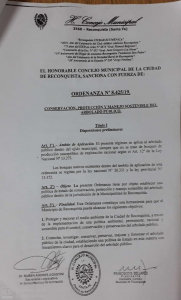 Lee más sobre el artículo Lo que hay que saber sobre traza de garage o cochera y arbolado público