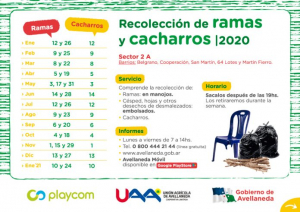 Lee más sobre el artículo Recolección de ramas y cacharros