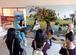 Lee más sobre el artículo Avellaneda presente en la 7ª Fiesta Nacional de los Humedales Jaaukanigás