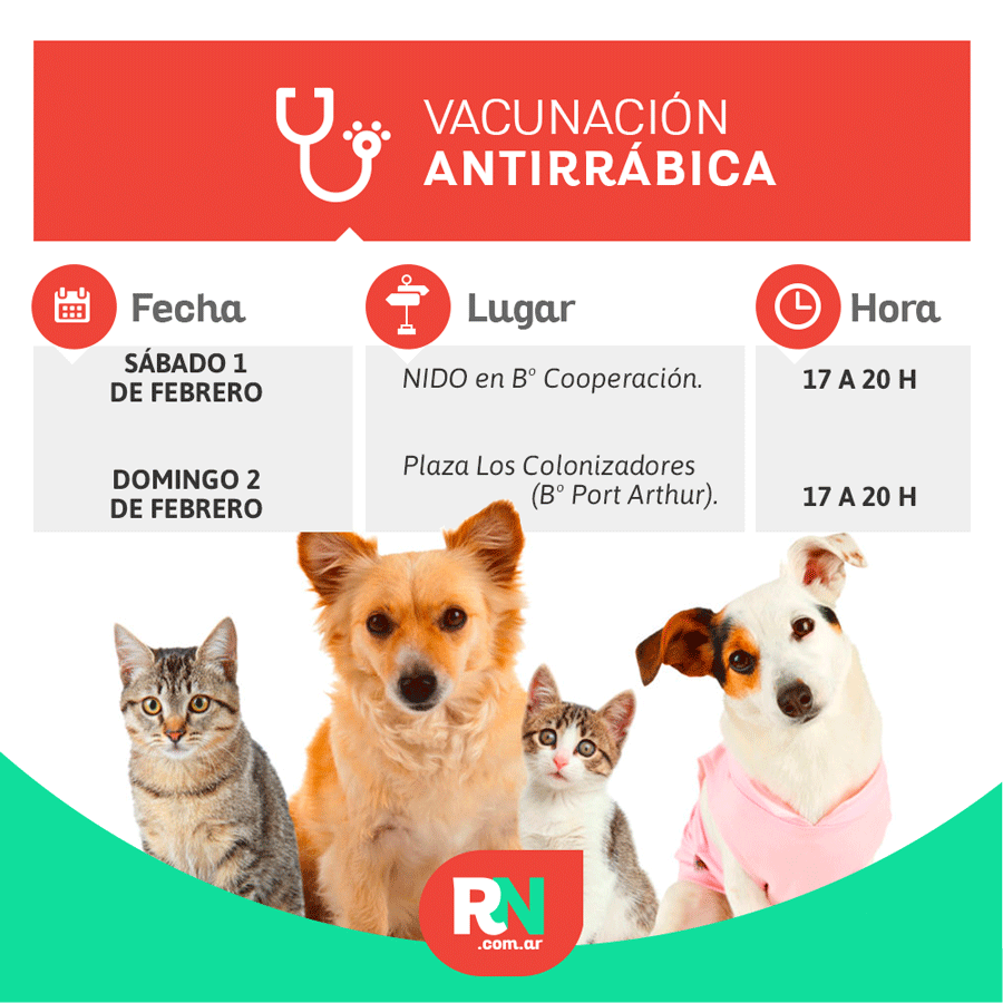 Lee más sobre el artículo Vacunación antirrábica en Avellaneda
