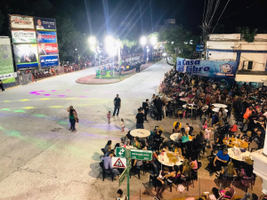 Lee más sobre el artículo Continúan a la venta las entradas para los Carnavales 2020