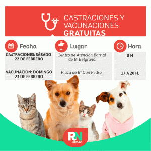 Lee más sobre el artículo Castraciones y Vacunación Antirrábica