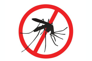 Lee más sobre el artículo Dengue: prevención, concientización y fumigación en todo el territorio santafesino