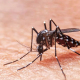 El Ministerio de Salud actualizó los casos de Dengue en la provincia