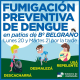 Avellaneda: fumigaciones preventivas de dengue
