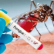 Informe epidemiológico en relación al dengue