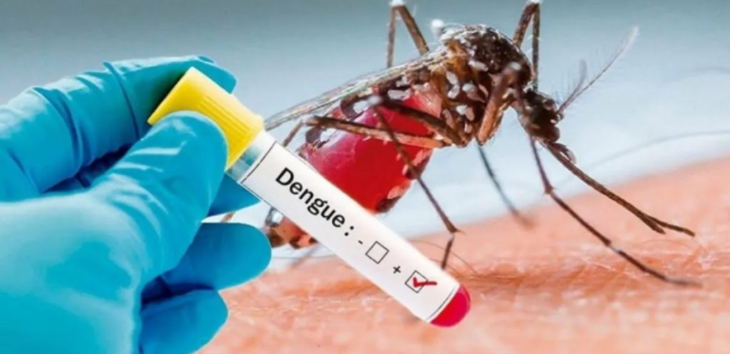 Lee más sobre el artículo Informe epidemiológico en relación al dengue
