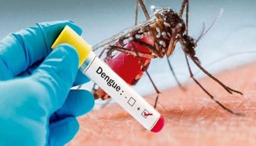 Lee más sobre el artículo Reconquista se acerca a los 500 casos de dengue, Avellaneda suma 114 confirmados