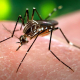 Informe epidemiológico en relación al dengue al 13 de mayo