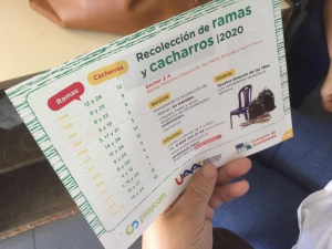Lee más sobre el artículo Recolección de ramas en Avellaneda: domingo 28 es el turno del sector 2 A