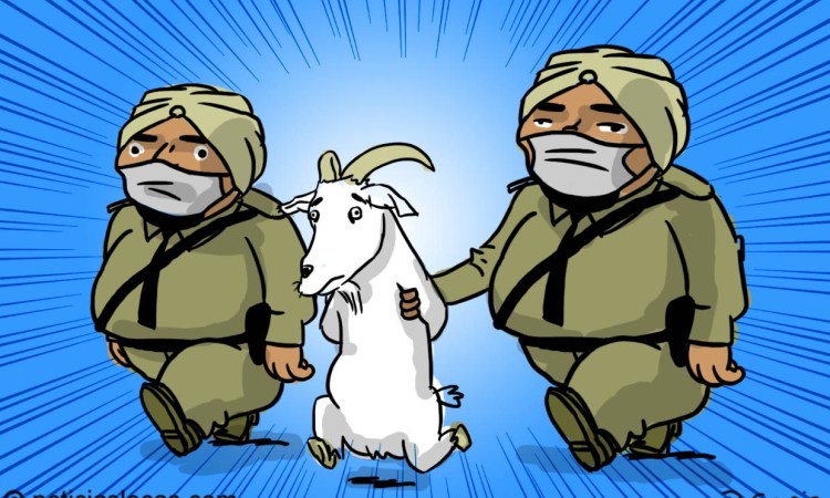 Lee más sobre el artículo COVID-19: Cabra “arrestada” por no usar tapapocas