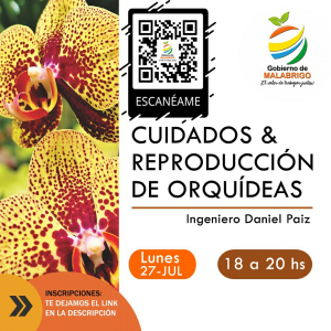 Lee más sobre el artículo Malabrigo: el lunes se realizará el curso de “Cuidados y Reproducción de Orquídeas”