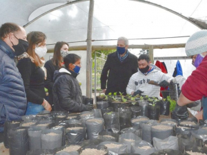 Lee más sobre el artículo Vivero Inclusivo