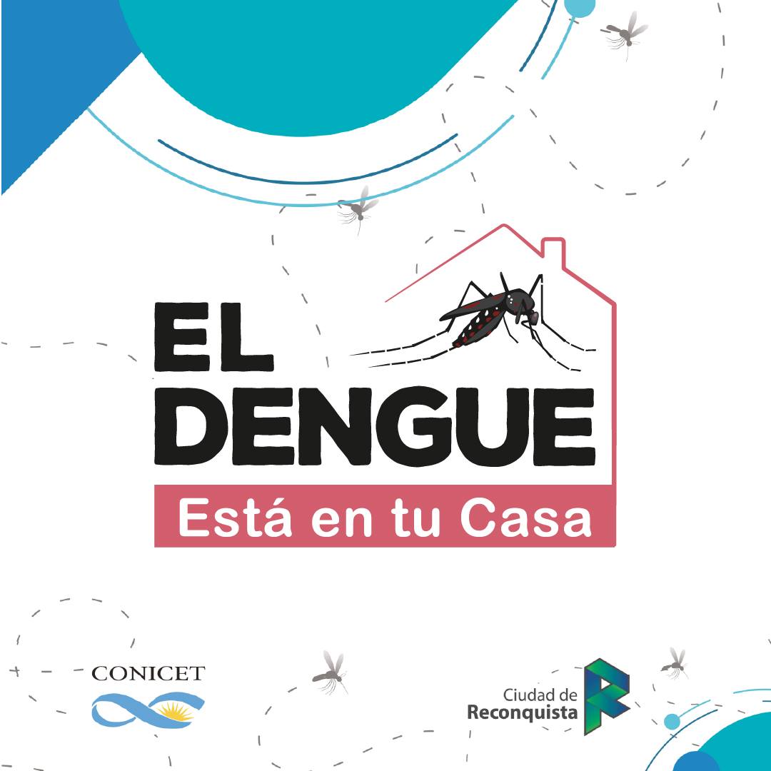 Lee más sobre el artículo El Dengue está en tu casa